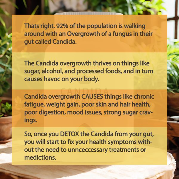 Candida Cleanse - Gut and Colon Support - Image 6