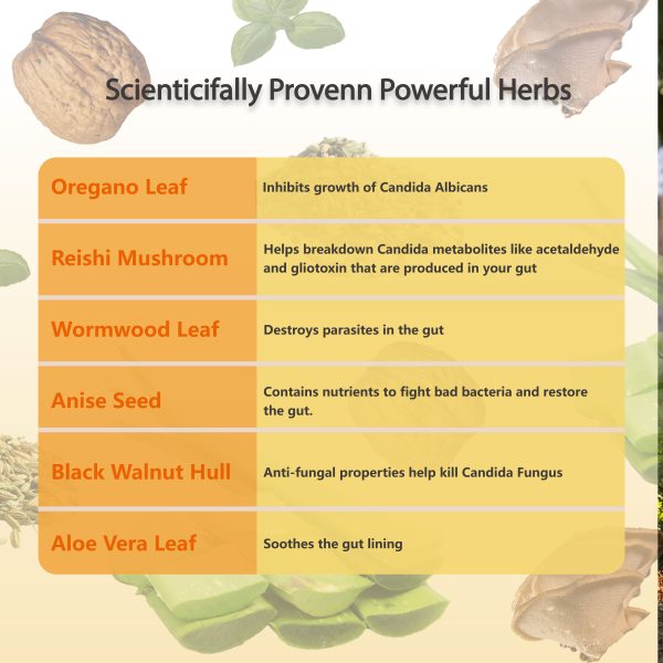 Candida Cleanse - Gut and Colon Support - Image 5